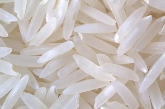 IR8 Rice