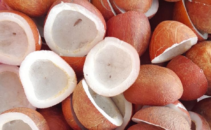 Dry Copra