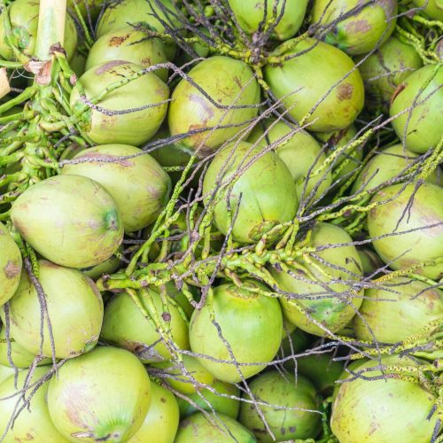 Tender Coconut Supplier in Tamil Nadu